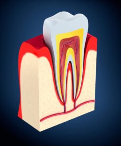 improve your gum health in Lititz, PA